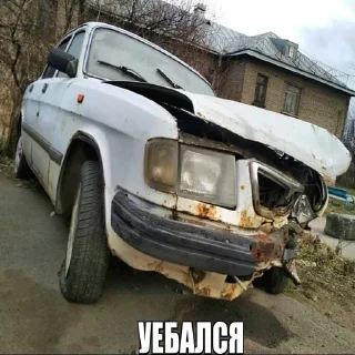 Sticker 🤕 Лолга