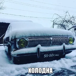 Video sticker 🥶 Лолга