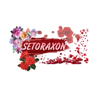 Sticker ❤️ SETORAXON GO'ZAL