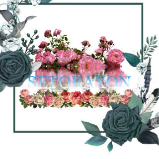 Sticker 😍 SETORAXON 🌸❤️