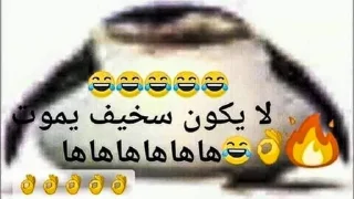 Sticker 😄 Arab Shitpost