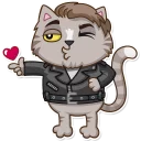 Video sticker 😘 Vincent Whiskers