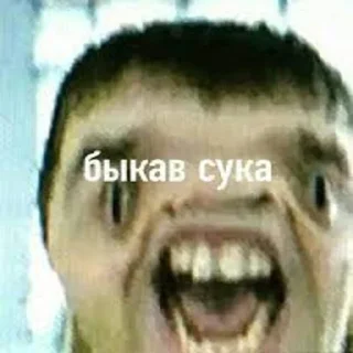 Sticker 🤬 Быкав сука