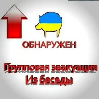 Video sticker ❗️ Понадусёровые каклошвайны