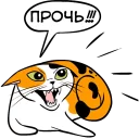Sticker 😡 Cat Language