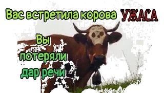 Sticker 🔇 Архиварийские стики