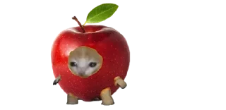 Sticker 🍎 Архиварийские стики