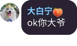 Video sticker 👩‍🦽 @zongjian666 :: @fStikBot