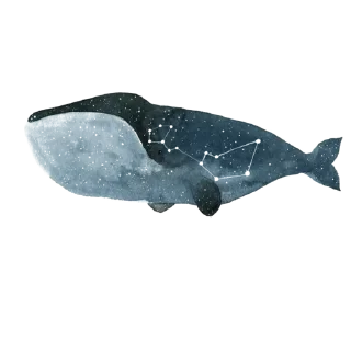 Sticker 🐋 MoonCarnet