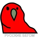 Video sticker 😂 Русские Вперёд