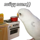 Sticker 🍗 Попуги