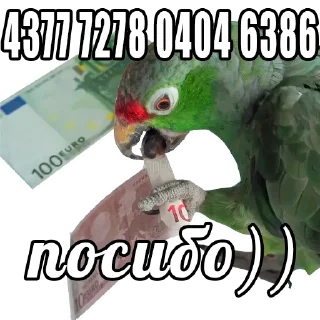 Sticker 💵 Попуги