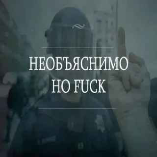 Video sticker 😳 Закон Пошлости