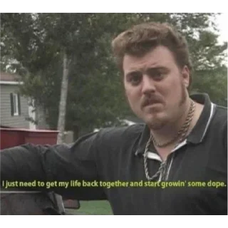 Sticker 😞 Trailer park boys quotes