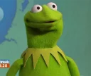 Video sticker 😮 Kermit the memer