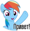 Video sticker ✋ Rainbow Dash speaks | By @Egor418