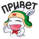 Sticker 👋 Кролик Mi Rabbit @TgSticker