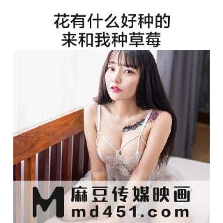 Sticker 💦 麻豆传媒映画 MD451.com