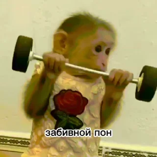 Video sticker 👿 Пон :: @fStikBot