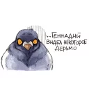 Sticker 😖 Голубь Геннадий