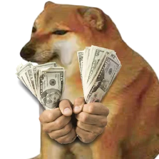 Sticker 💸 DOGEBONK $DOBO