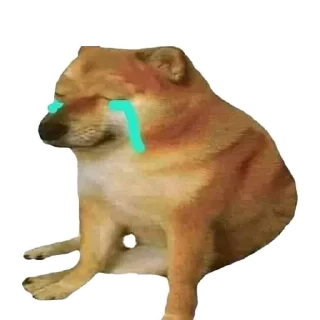 Video sticker 😢 DOGEBONK $DOBO