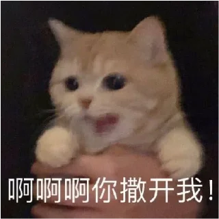 Sticker 😾 小动物能有什么坏心眼呢 @xiaotianxinya