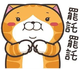 Sticker 🙏 白爛貓22☆有字版☆ @moe_sticker_bot