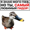 Sticker 👍 Злая утка