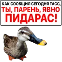 Sticker 🦆 Злая утка