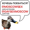 Sticker 👌 Злая утка