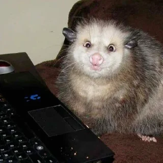 Sticker 💻 Awesome Possum