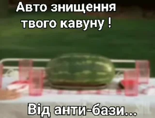 Video sticker 👎 Watermelons @ukraine_giff :: @fStikBot