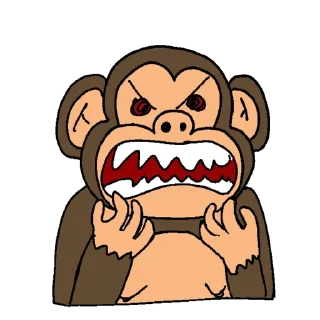 Video sticker 🤬 Monkeys Business