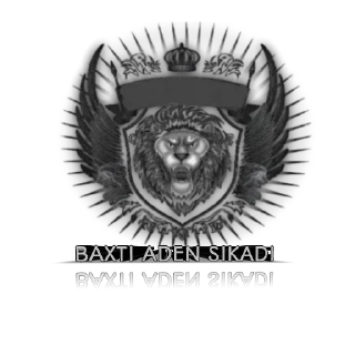 Sticker 🦅 Baxtiyor_oken