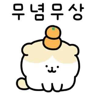 Video sticker 💬 댕냥티콘 By @KakaoEmoticon