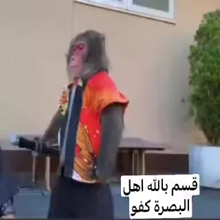 Video sticker 😅 اهل البصره 😅☝🏻