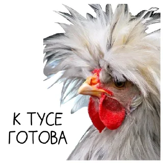 Sticker 🐓 Окурительные стикеры (@dobrayalenta)