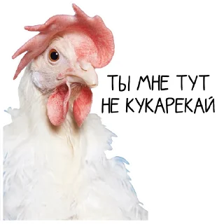 Video sticker 🐓 Окурительные стикеры (@dobrayalenta)