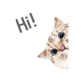 Sticker 😁 Hug me Pls - Iam your Cat