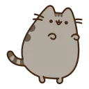 Video sticker 😸 AnimatedPusheen @IMG2D