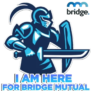 Video sticker 🤟 BRIDGE MUTUAL