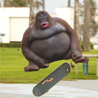 Video sticker 🛹 Monke