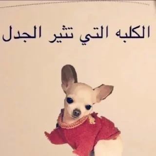 Sticker 🤦‍♀️ Reactionat باءسه