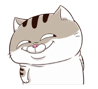 Video sticker ⭐ fat cat Ami 4(EN) @moe_sticker_bot