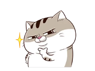 Video sticker ⭐ fat cat Ami 4(EN) @moe_sticker_bot