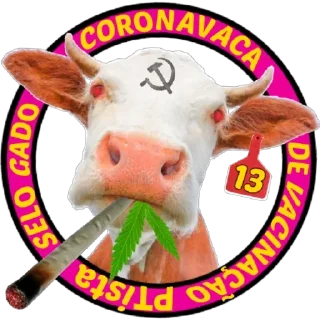 Video sticker 🙂 BOLSONARO 2022