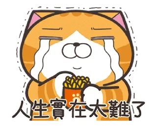 Sticker 😒 白爛貓☆金促咪☆係金A貼圖  @RekcitsEnilbot