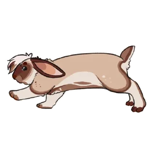 Sticker 🐇 LouBunno