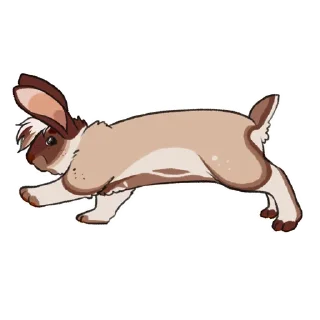 Sticker 🐇 LouBunno